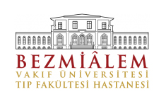 bezmialem tas duvar uygulamasi